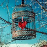 Narzissmus, narzisstische Beziehungen, gebrochenes Herz, krank machende Beziehungen