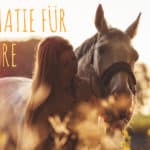 Psychotherapie für Hochsensible, Weltschmerz, Mitgefühl für Tiere