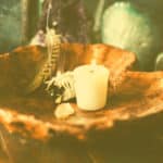 Kerze Salbei Feder in Holzschale