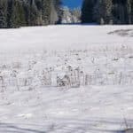 Rauhnächte, Meditationen, Natur, Sylvia Harke