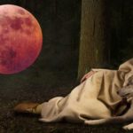 Rising of the feminine, Blutmond 2019, Aufstieg des Weiblichen, Hochsensiblitiät als weibliche Qualität