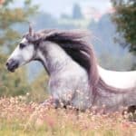 Coaching für Hochsensible. Entdecke Deine Freiheit und Dein Potential