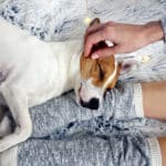 Tipps zum Einschlafen